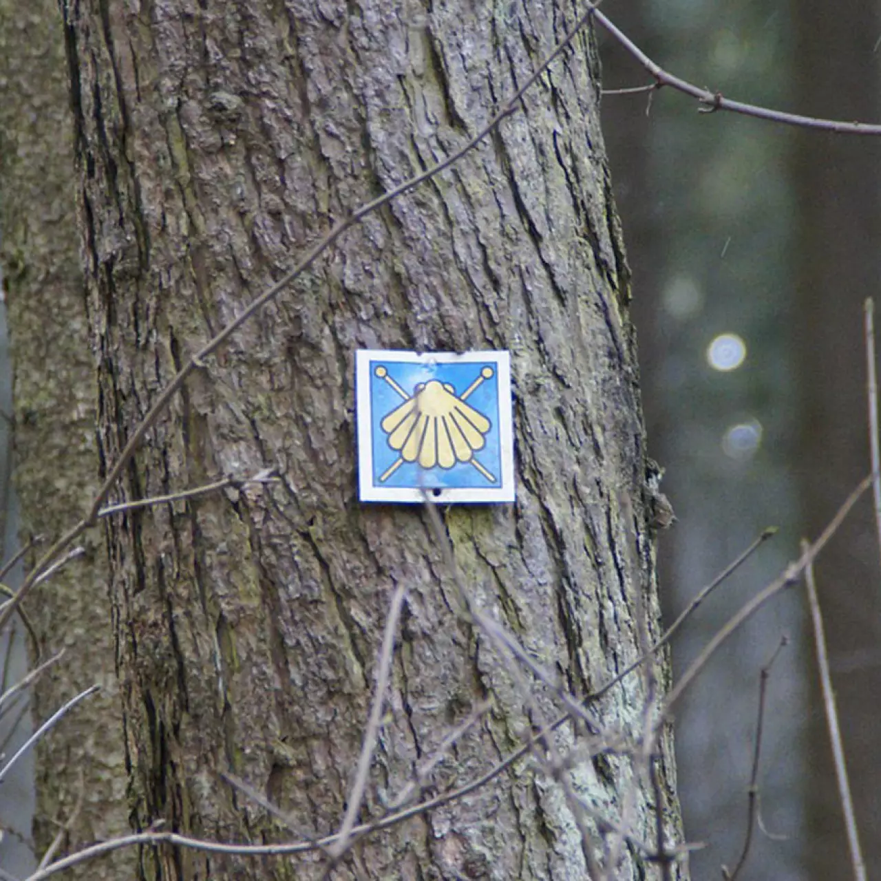 Jakobsweg / Pilgerweg