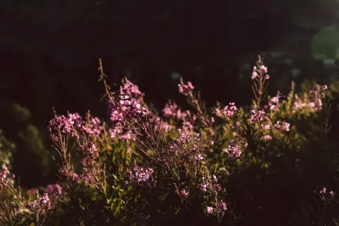 02_hotel-apres-post_blog_mystischer-sommer