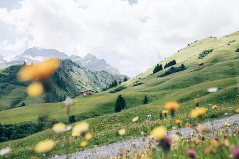 00_hotel-apres-post_blog_fruehlingsgefluester